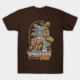 Burgess Falls Tennessee T-Shirt